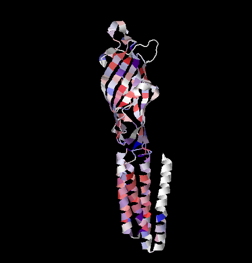 structure of 1HFI